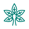 Canvas Logo